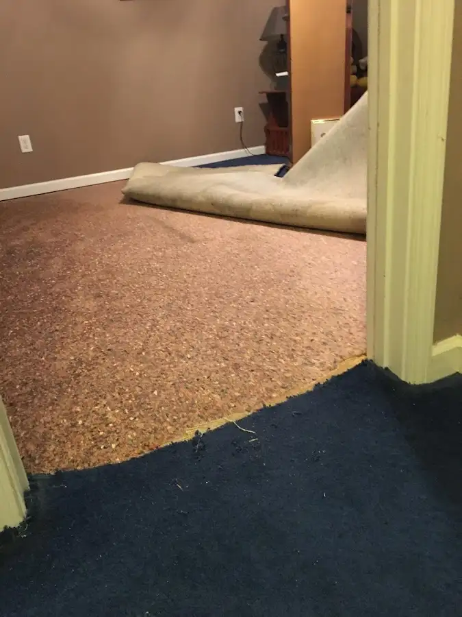 Carpet pad removal revealing water damage during Water Mitigation Services in Bainbridge