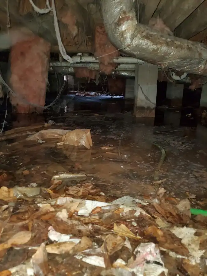 Crawl space flood assessment for Commercial Water Damage Restoration in Bainbridge