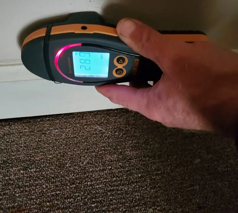 Moisture detection at baseboard during Mold Inspection & Testing in Bainbridge